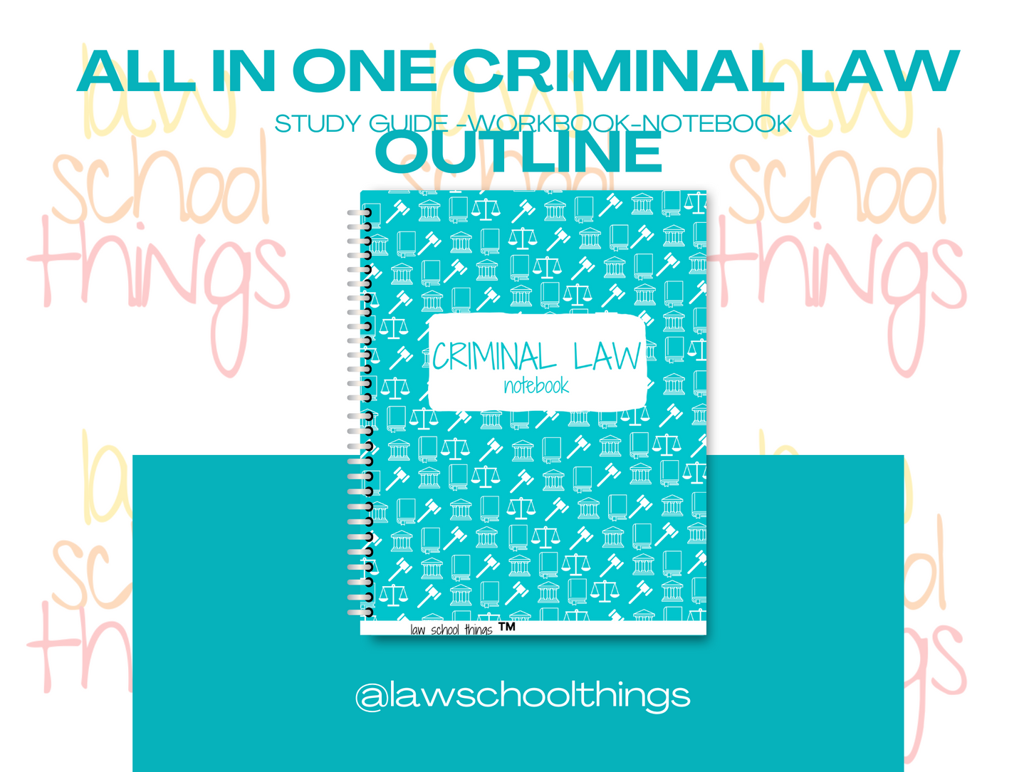 Criminal Law Law School Outline (Physical Copy)