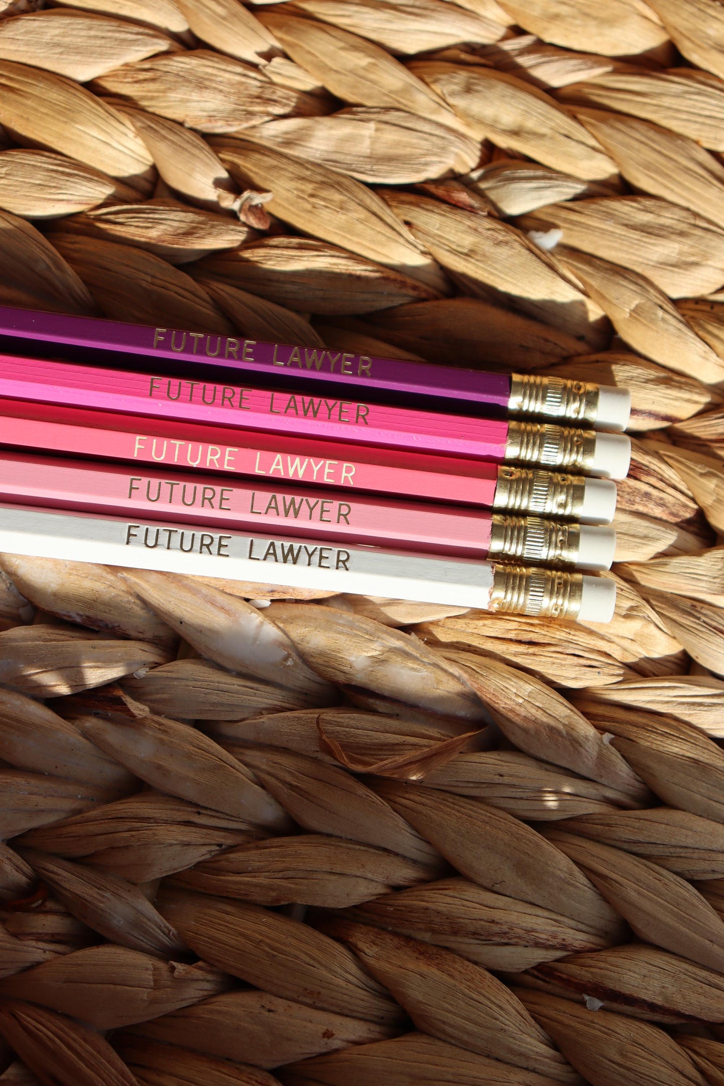 Future Lawyer Pencil Set